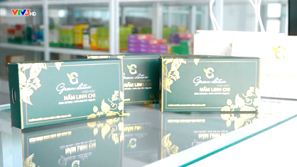 Thao-Moc-Nam-Linh-Chi—HKY Green Detox - Thảo Mộc Nấm Linh Chi - Giảm mỡ máu - Giảm béo phì - Đẹp da